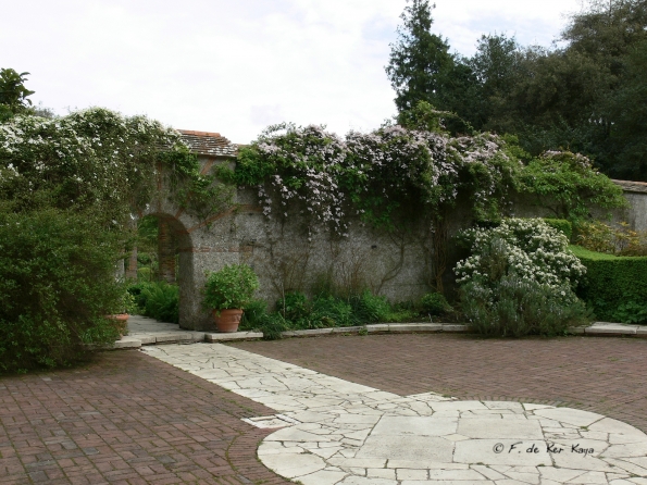 Bois des Moutiers (89) Mai 2012